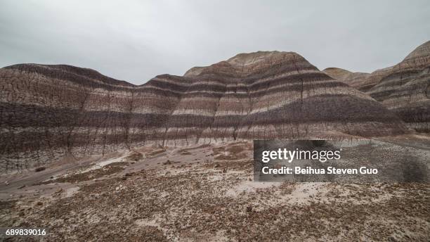 badland formations, petrified wood, and bentonite clay near blue mesa trail in petrified forest national park, arizona - petrified wood stock-fotos und bilder