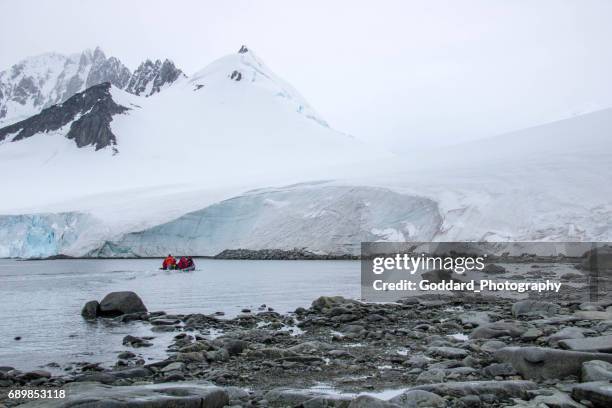 antarctica: damoy punt - eilandengroep palmer stockfoto's en -beelden