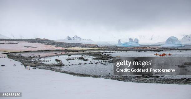 antarctica: damoy punt - eilandengroep palmer stockfoto's en -beelden