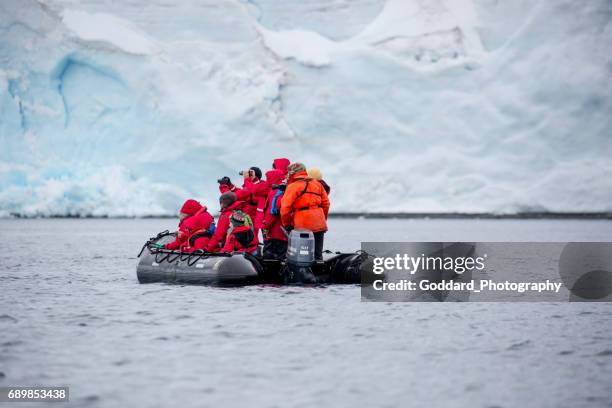 antarctica: damoy punt - eilandengroep palmer stockfoto's en -beelden