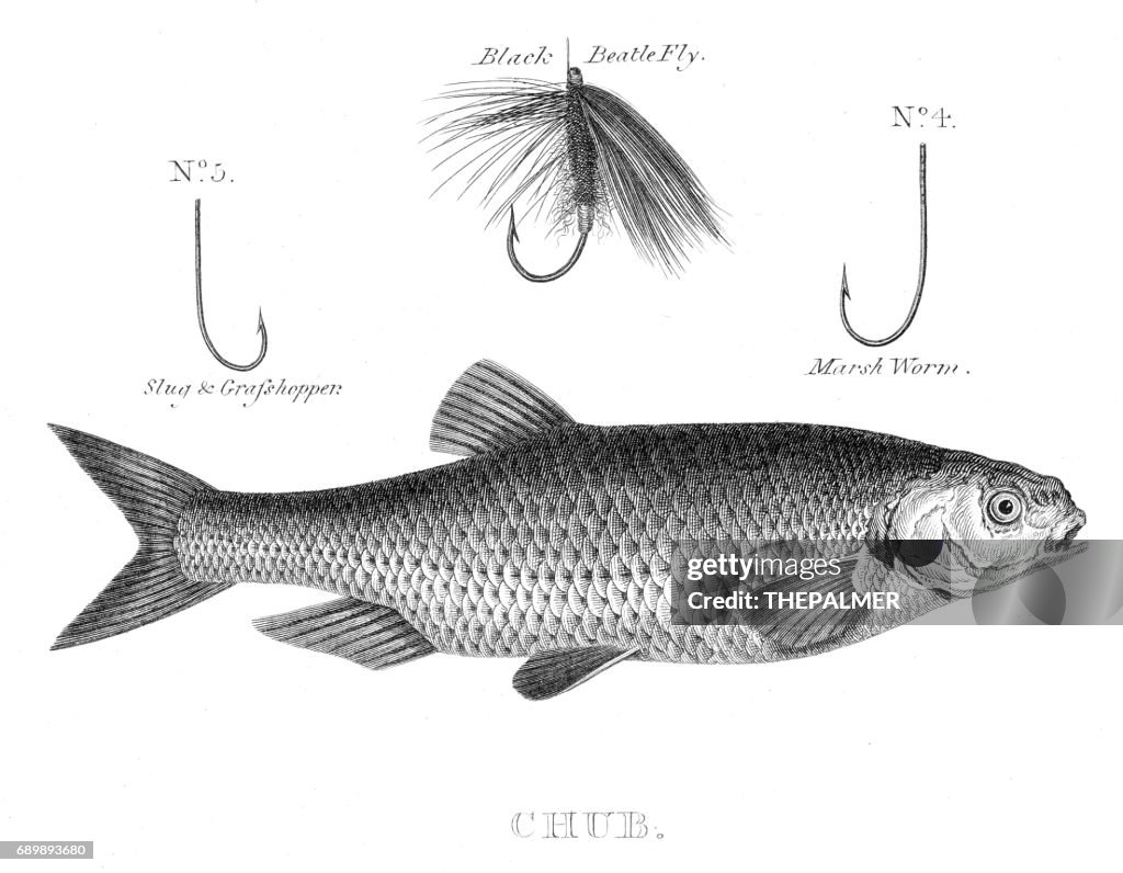 Fish chub hooks engraving 1812