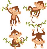 set of isolated monkey hanging on vine