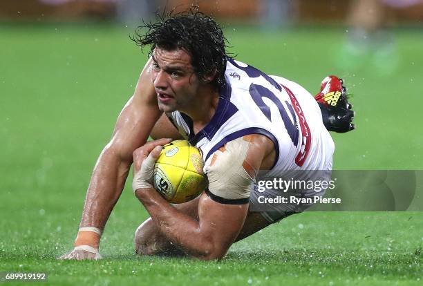 Brady Grey of the Dockers marks during the round 10 AFL match between the Adelaide Crows and the Fremantle Dockers at Adelaide Oval on May 27, 2017...