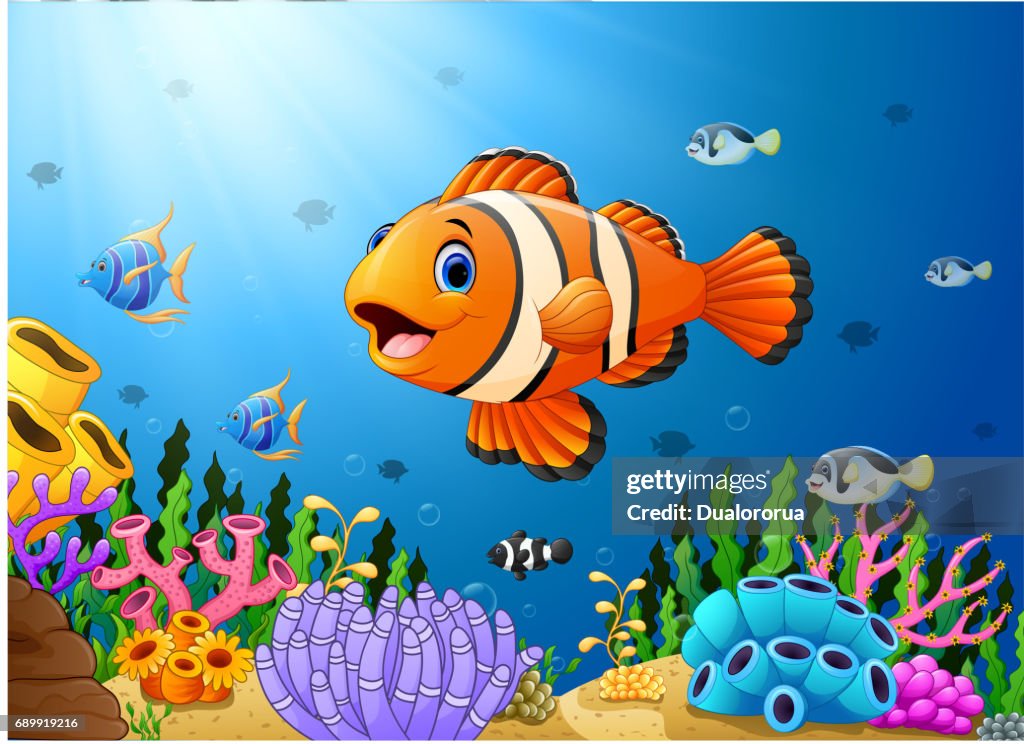 Dibujos Animados Lindo Payaso Peces En El Mar Ilustración de stock - Getty Images Dibujos Animados Lindo Payaso Peces En El Mar Ilustración de stock - Getty Images