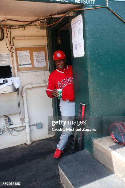 Infield Coach Alfredo Griffin of the Los Angeles Angels of Anaheim dances in the dugout prior to the game against the Oakland Athletics at the...