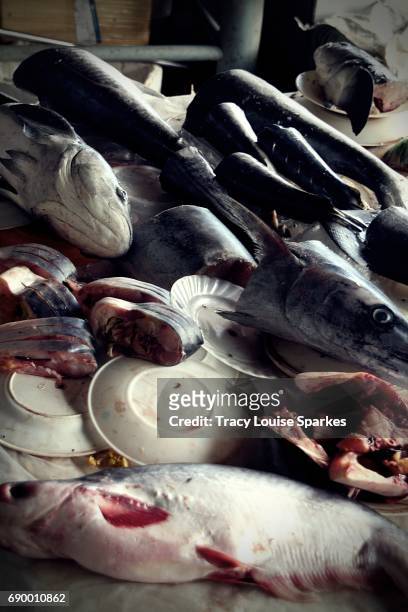 fish stall - louise tracy fotografías e imágenes de stock