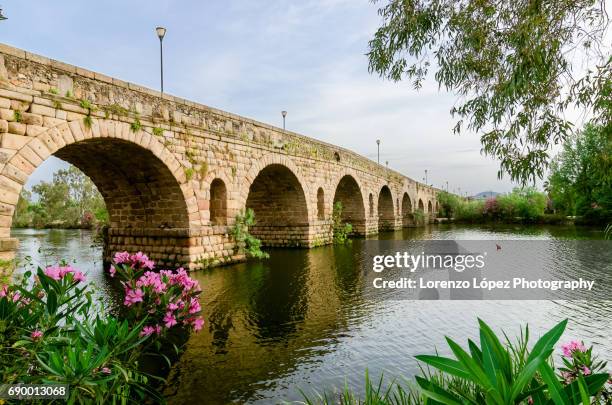 roman bridge in merida - merida spain stock pictures, royalty-free photos & images