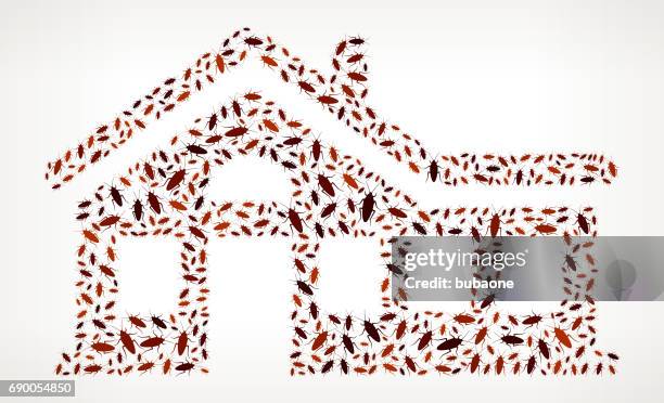 ilustrações de stock, clip art, desenhos animados e ícones de home  cockroach vector icon pattern - infestation