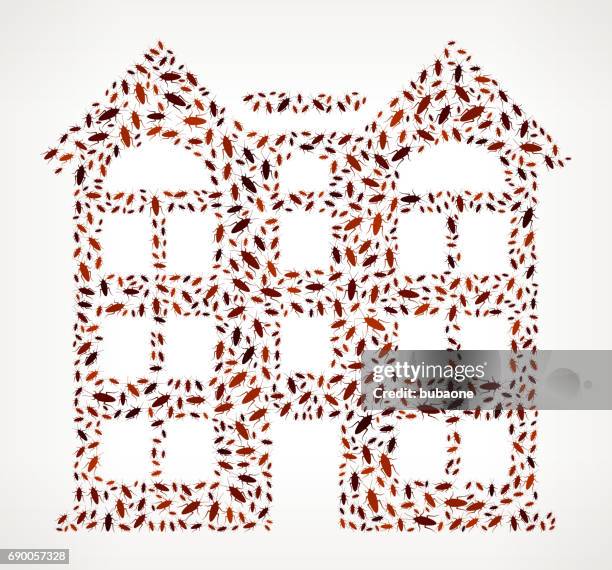 building cockroach vector icon pattern - infestation stock illustrations