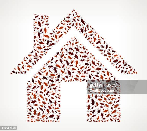 haus schabe vektormuster symbol - infestation stock-grafiken, -clipart, -cartoons und -symbole