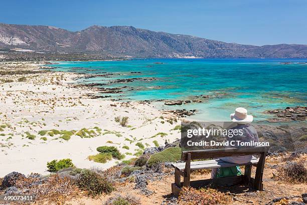 admiring the view over the coast, elafonisi, crete - präfektur chania stock-fotos und bilder
