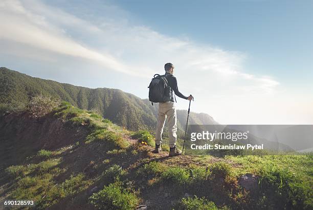 man trekking, enjoying view, tenerife - hiking pole stock pictures, royalty-free photos & images