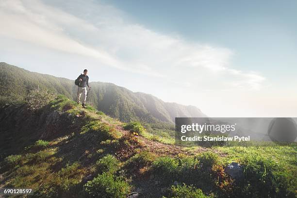 man trekking on grassy road in mountains - grüne schuhe stock-fotos und bilder