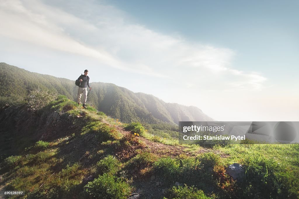 Man trekking on grassy road in mountains