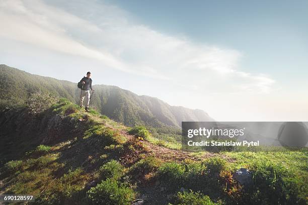 man trekking on grassy road in mountains - mountain walking stock pictures, royalty-free photos & images