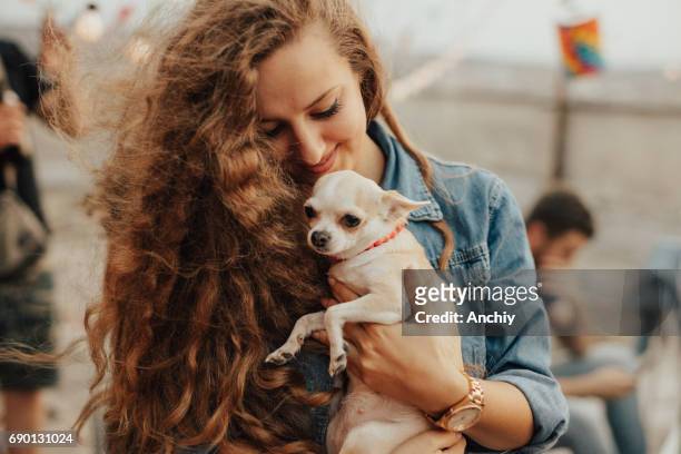 curly-haired girl holding a chihuahua - chihuahua love stock pictures, royalty-free photos & images