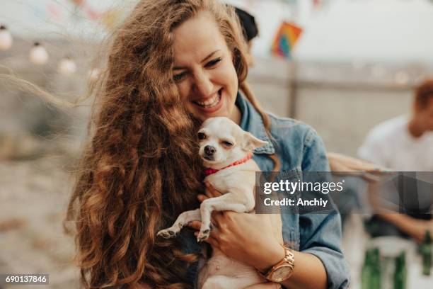 look how cute this dog is - rooftop terrasse stock pictures, royalty-free photos & images