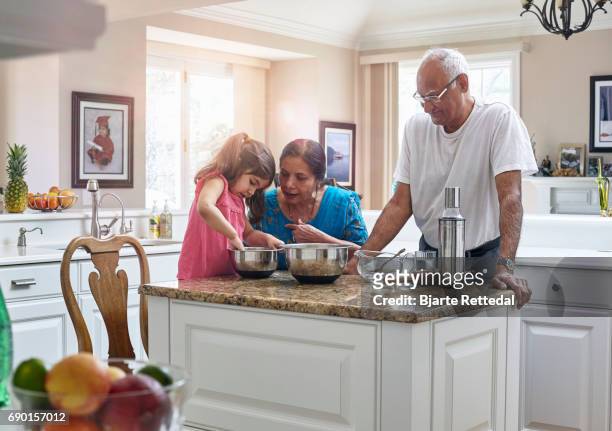 indian american family cooking together - indiana v michigan imagens e fotografias de stock