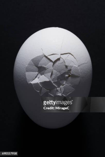 cracked egg - eierschale stock-fotos und bilder