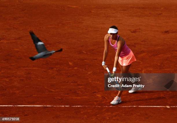 Jana Cepelova of Slovakia serves whilst a bird flys past during the ladies singles first round match against Simona Halep of Romania on day three of...