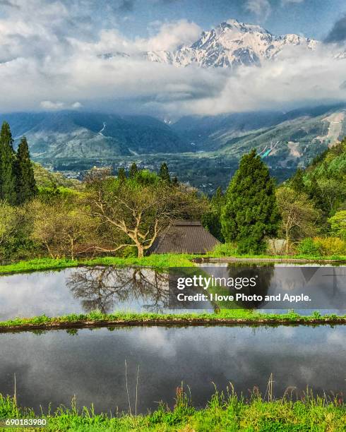 hakuba village spring scenery - 中部地方 fotografías e imágenes de stock