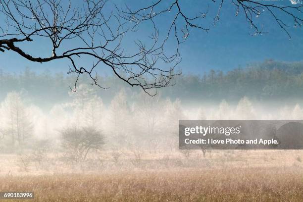 odashirogahara morning scenery - 栃木県 stock pictures, royalty-free photos & images