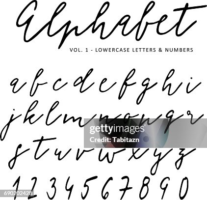 Hand Drawn Vector Alphabet Signature Script Font Isolated Letters ...