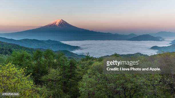 spring fuji morning scenery - ユネスコ世界遺産 stock-fotos und bilder