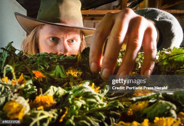 Former professional ski racer Dan Marion now a farmer/forager, checks on the progress of herbs drying in his Cape Elizabeth barn on Monday, May 22,...