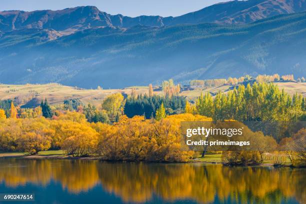 vista panoramica paesaggio naturale nell'isola meridionale della nuova zelanda - arrowtown foto e immagini stock