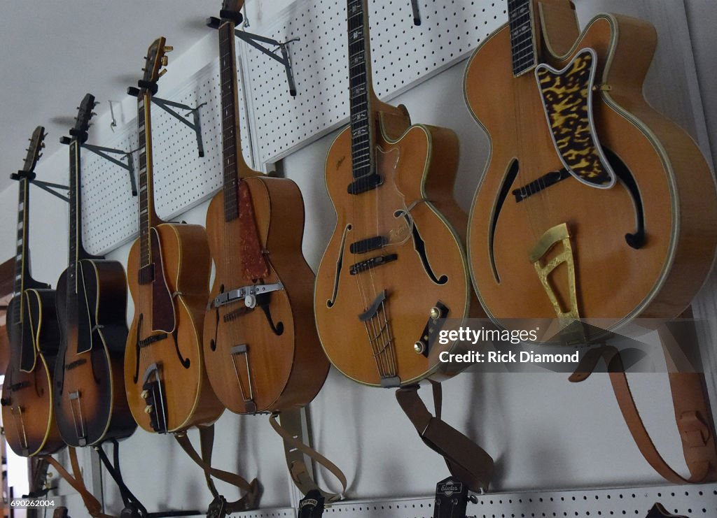 Maple's Guitar Collection - Photo Shoot