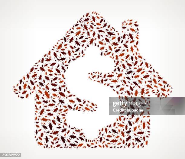 house price cockroach vector icon pattern - infestation stock illustrations