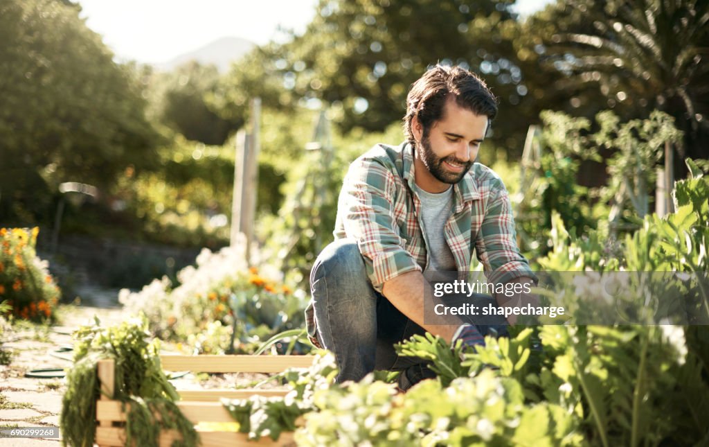 Trabajo que suciedad, Salvemos la tierra