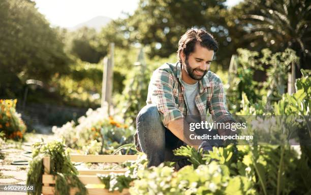 travailler cette saleté, sauver la terre - jardinage photos et images de collection