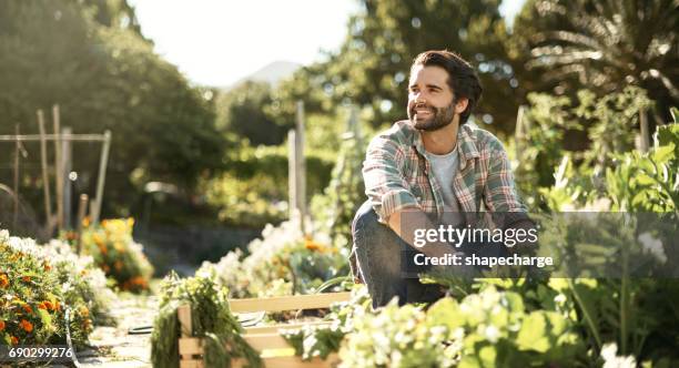 gardening - give a little, take a little - urban garden stock pictures, royalty-free photos & images