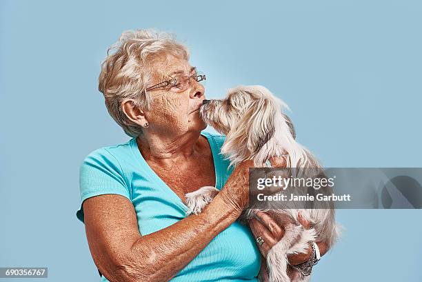 elderly women giving her pet dog a kiss - animals kissing stockfoto's en -beelden