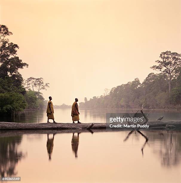 buddhist monks walking along submerged tree - buddhism imagens e fotografias de stock