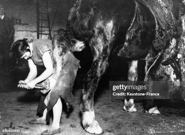 Mademoiselle Henriette Tournier, première femme maréchal ferrant, ferre les pieds d'un lourd cheval de trait dans la forge de son père à...