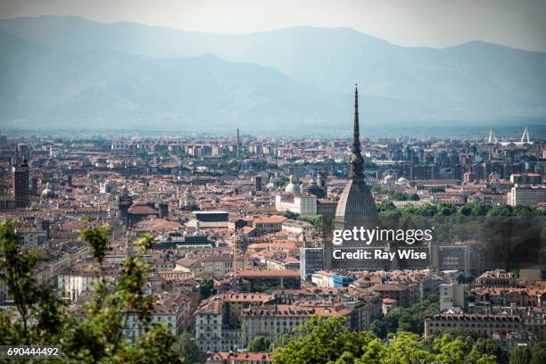 mole antonelliana and surrounding buildings from distance. - turin stock pictures, royalty-free photos & images