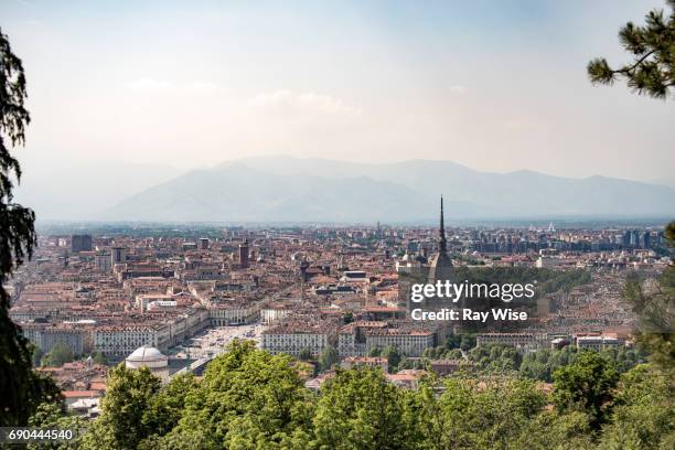 turin skyline viewed from nearby hilltop looking through trees. - mole antonelliana stock-fotos und bilder