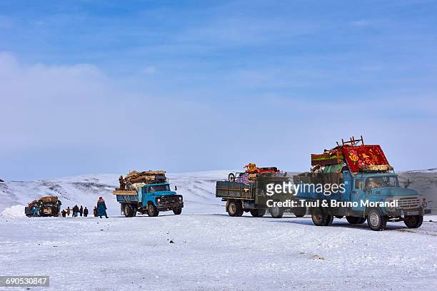 mongolia, winter transhumance with truck - cultura nomade foto e immagini stock