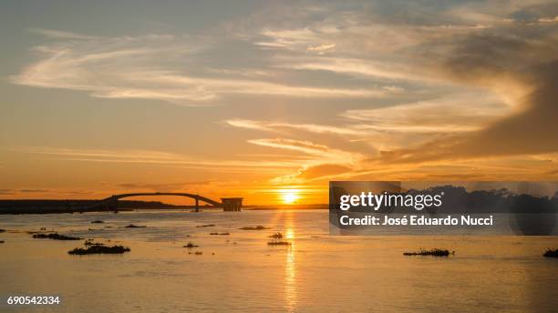 paraguay river sunset - imagem a cores ストックフォトと画像