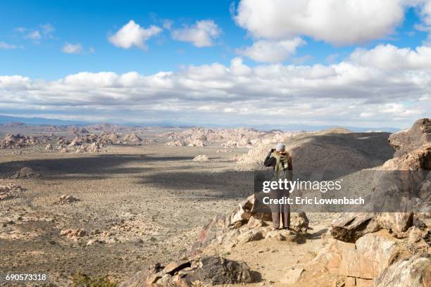 joshua tree hiker - lowenbach - fotografias e filmes do acervo