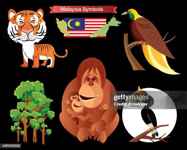 malaysia symbols - sarawak borneo stock illustrations