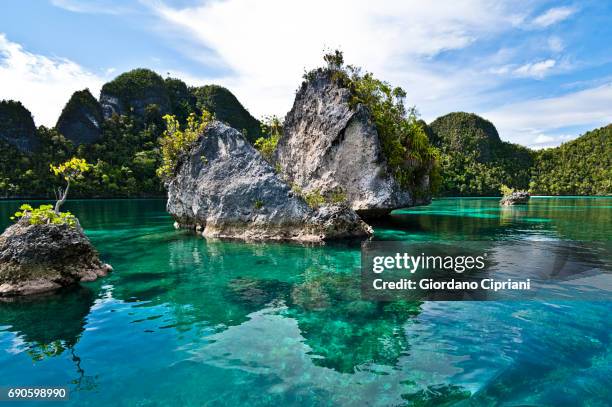 raja ampat islands, wayag - west papua stock pictures, royalty-free photos & images