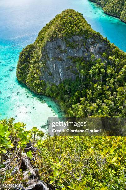 raja ampat islands, wayag - raja ampat islands 個照片及圖片檔