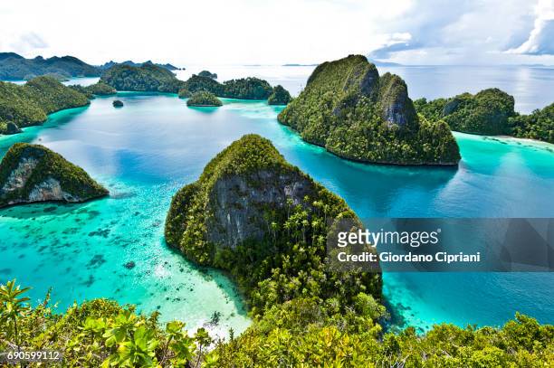 raja ampat islands, wayag - indonesia stock pictures, royalty-free photos & images