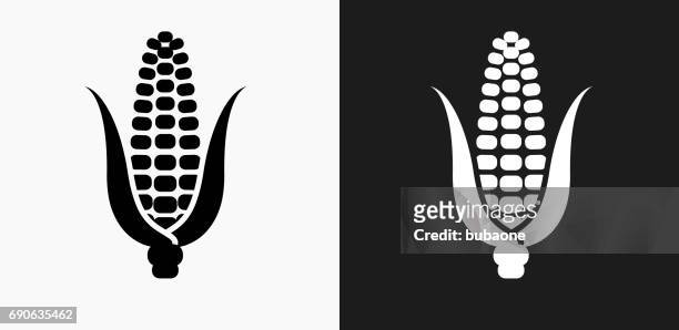 ilustraciones, imágenes clip art, dibujos animados e iconos de stock de maíz mazorca icono en blanco y negro vector fondos - corn