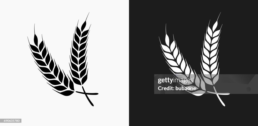 Barley Icon on Black and White Vector Backgrounds