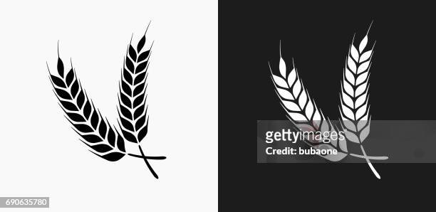 barley icon on black and white vector backgrounds - bread stock illustrations